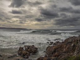 The Sapphire Coast Photography