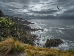 The Sapphire Coast Photography